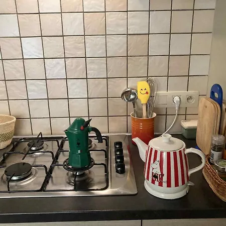 Apartament Zoutelaan *