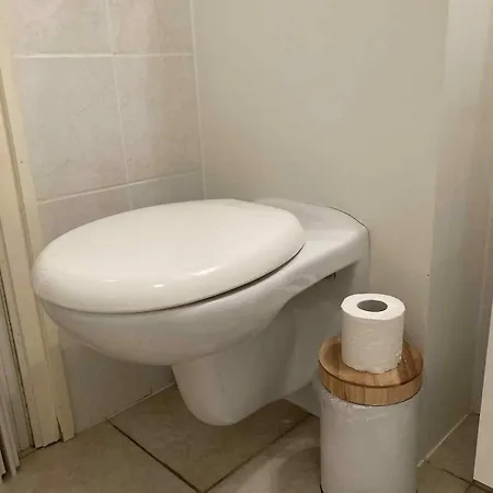 Zoutelaan Apartament